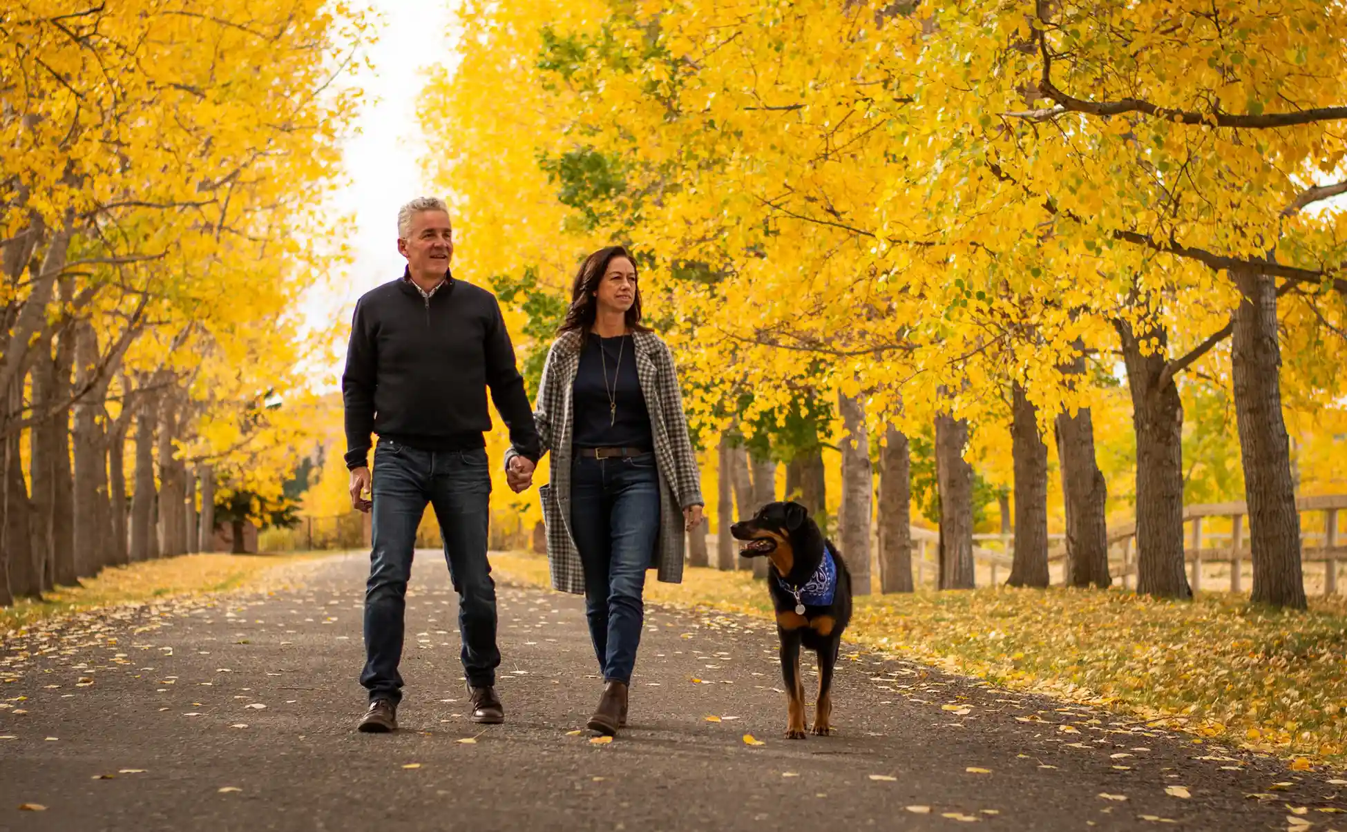 Private Coaching Zen Dog Canine Training