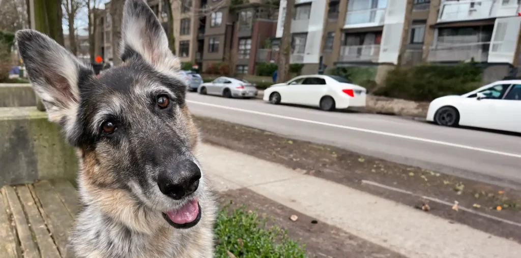 FEATURED STUDENT- ABBI