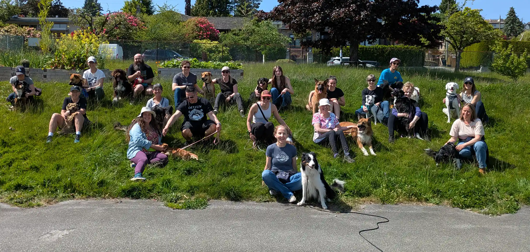 Featured Spotlight: Skills N Drills - Zen Dog Canine Training Vancouver - Skils n Drills Zen Dog Canine Training Vancouver Skils n Drills - Zen Dog Canine Training Vancouver