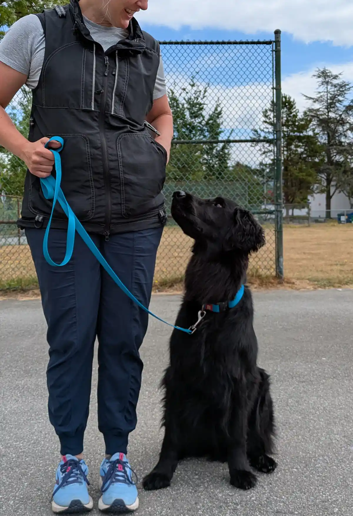 Understanding Reinforcement Zones - Zen Dog Canine Training Vancouver - Understanding Reinforcement Zones PXL 20250726 172805144 Understanding Reinforcement Zones - Zen Dog Canine Training Vancouver - Understanding Reinforcement Zones PXL 20250726 172805144