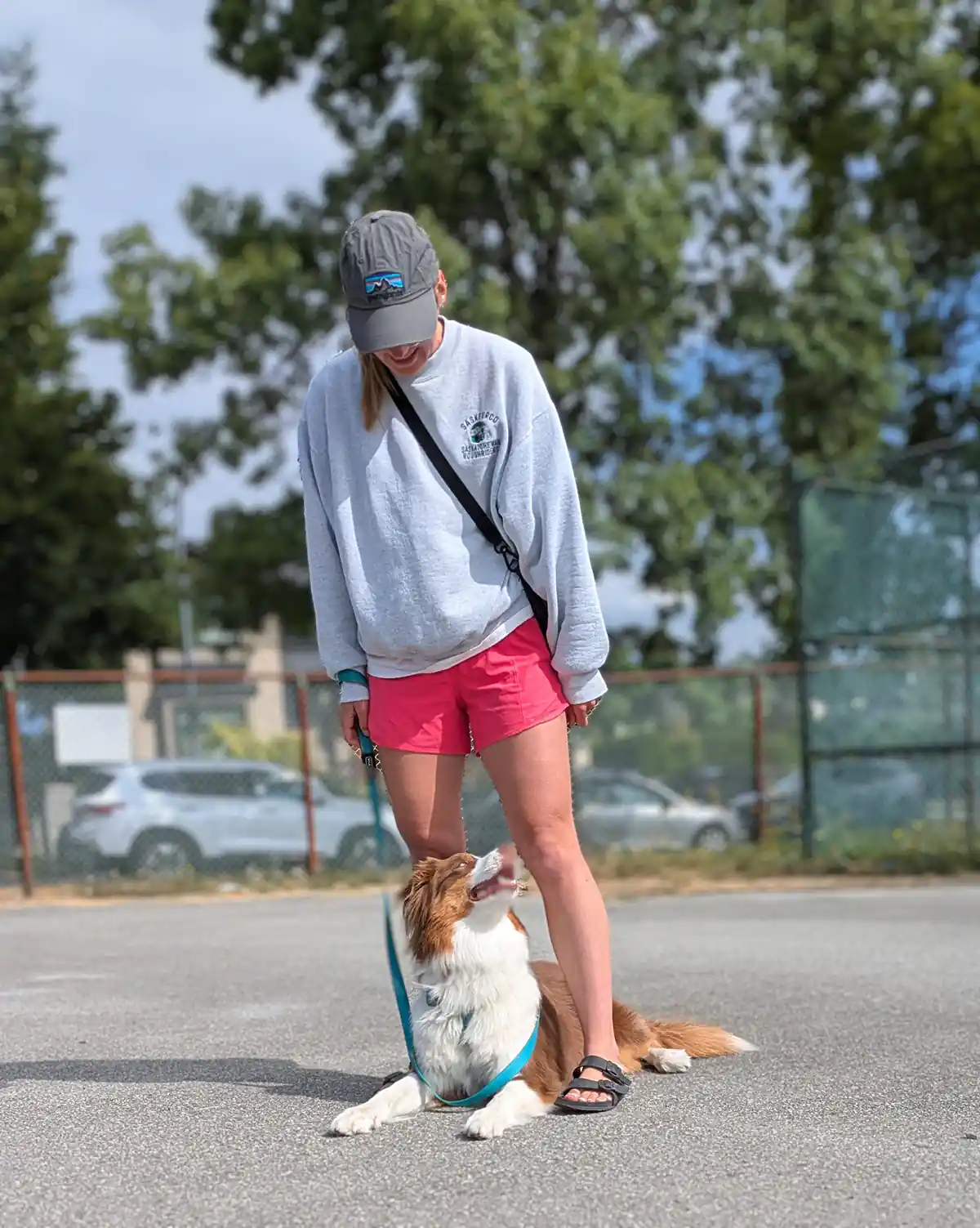 Understanding Reinforcement Zones - Zen Dog Canine Training Vancouver - Understanding Reinforcement Zones PXL 20250726 174151622 Understanding Reinforcement Zones - Zen Dog Canine Training Vancouver - Understanding Reinforcement Zones PXL 20250726 174151622