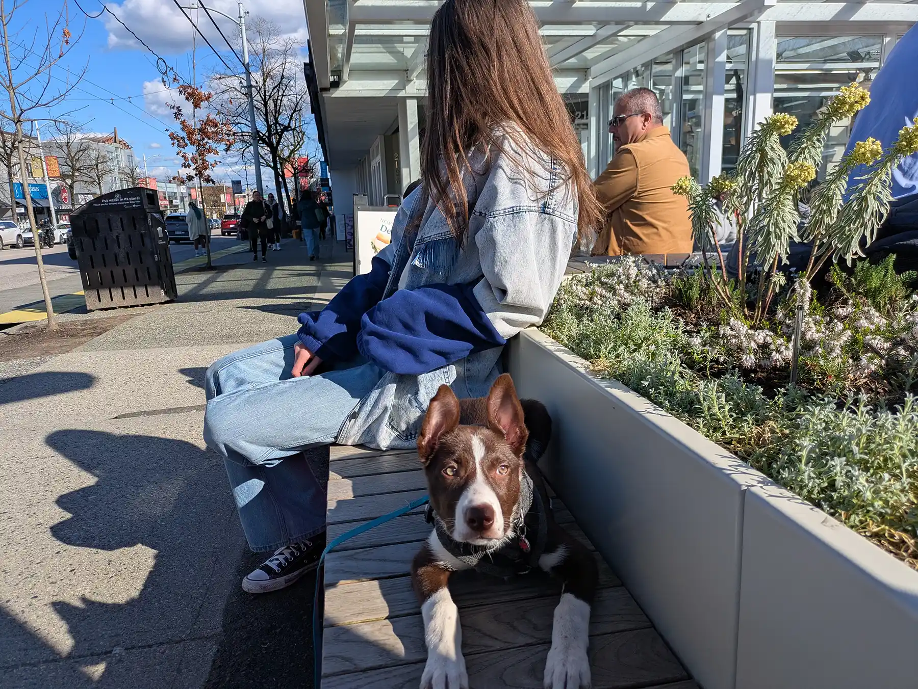 Vancouver Canine Training - Puppy Socialization Part Two – Creating a Resistance to Stress