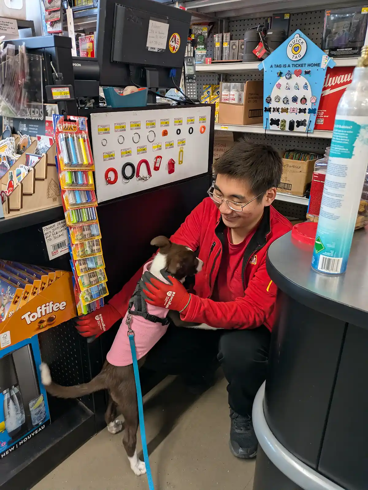 Puppy Socialization Part Two – Creating a Resistance to Stress - Vancouver Puppy Training