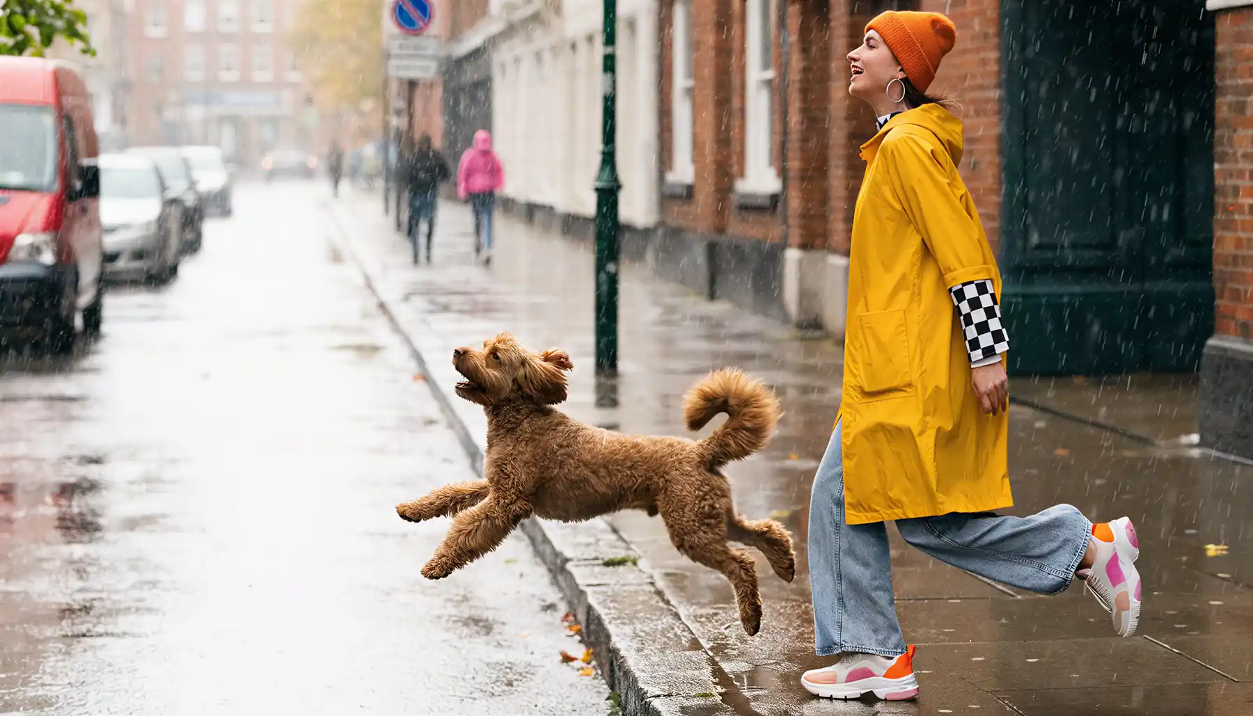 Why Does My Dog Ignore Me Unless I Have Food? The Neuroscience Behind Food Dependency (And How to Fix It) - Zen Dog Canine Training Vancouver - Why Does My Dog Ignore Me Unless I Have Food 3