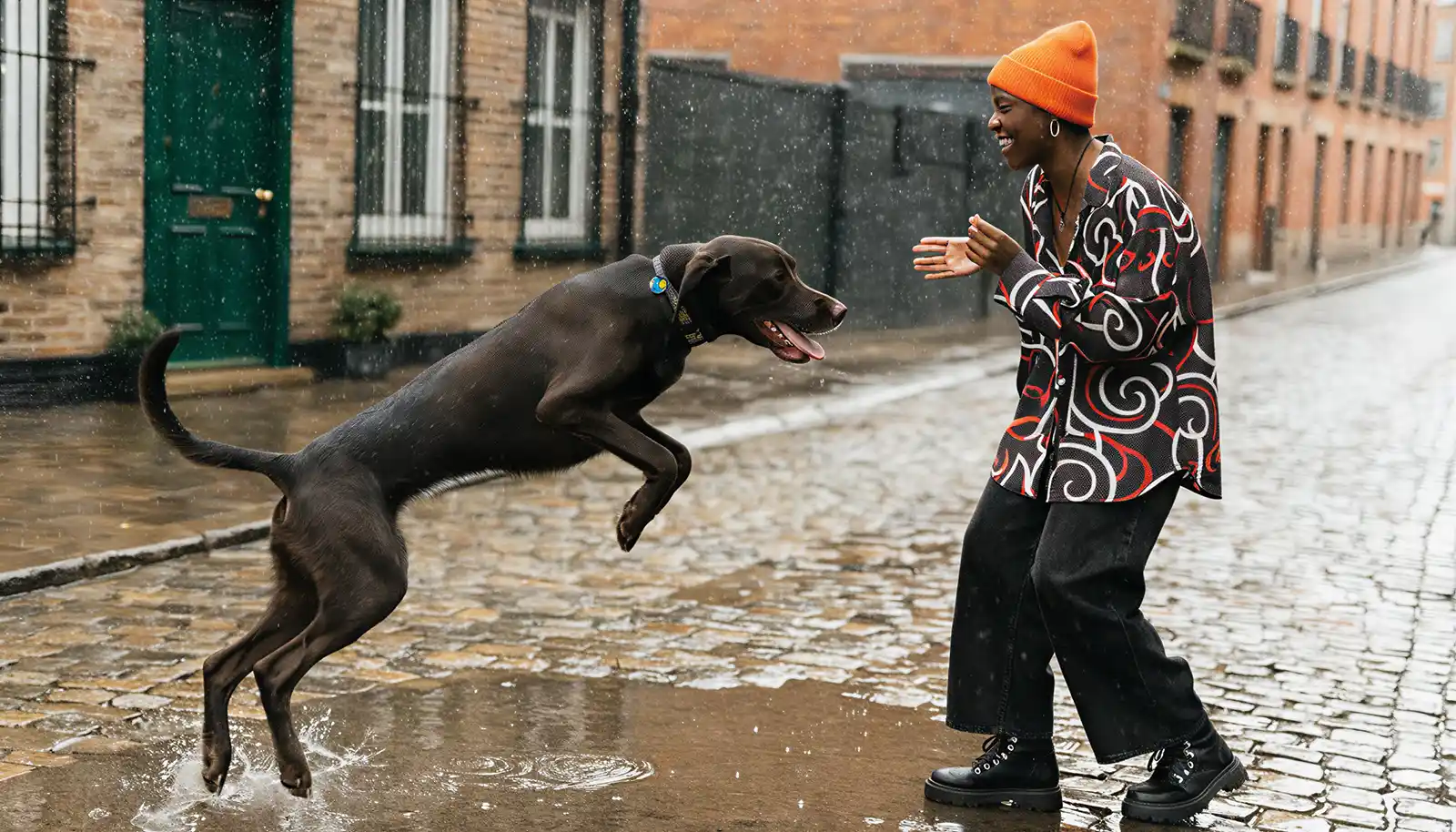 Why Does My Dog Ignore Me Unless I Have Food? The Neuroscience Behind Food Dependency (And How to Fix It) - Zen Dog Canine Training Vancouver - Why Does My Dog Ignore Me Unless I Have Food 2