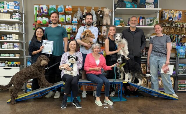 Come join us for some puppy shenanigans and kick off the summer with lots of great learning!!Our next Puppy Kindergarten class starts next Tuesday, July 8th.
https://www.zendogtraining.com/services/puppy-training/kindergarten/Contact us for details:
k9@zendogtraining.com
www.zendogtraining.com