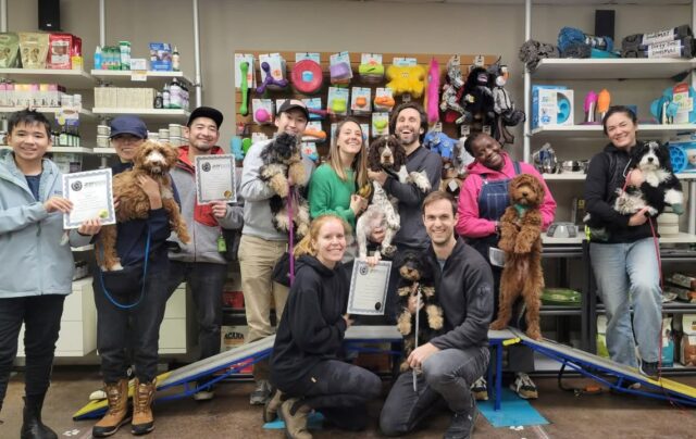 **2 SPOTS LEFT!!
Come join us for puppy shenanigans in our up-coming Zen Puppy Kindergarten class, starting Tuesdays March 3rd at 730pm in Kerrisdale. We boast one of the most comprehensive and informative early puppy education classes in the city, following a thorough and progressive curriculum. The course comes with a fantastic training-gear loot bag packed with training essentials. Throughout the course students get free samples of nutritional items, and discounts on featured weekly items. Within our course, we feature puppy agility exercises, grooming tips, nutritional guidance, prizes for contests, tricks, body awareness exercises, life skill exercises, toy play and plenty of social interactions! We build a wonderful community within each course amongst the students and offer the opportunity to progress to two more levels of puppy development.
For registration, please contact Simply Natural Raw Pet Food at 604 266 1125. For more information contact us at k9@zendogtraining.com